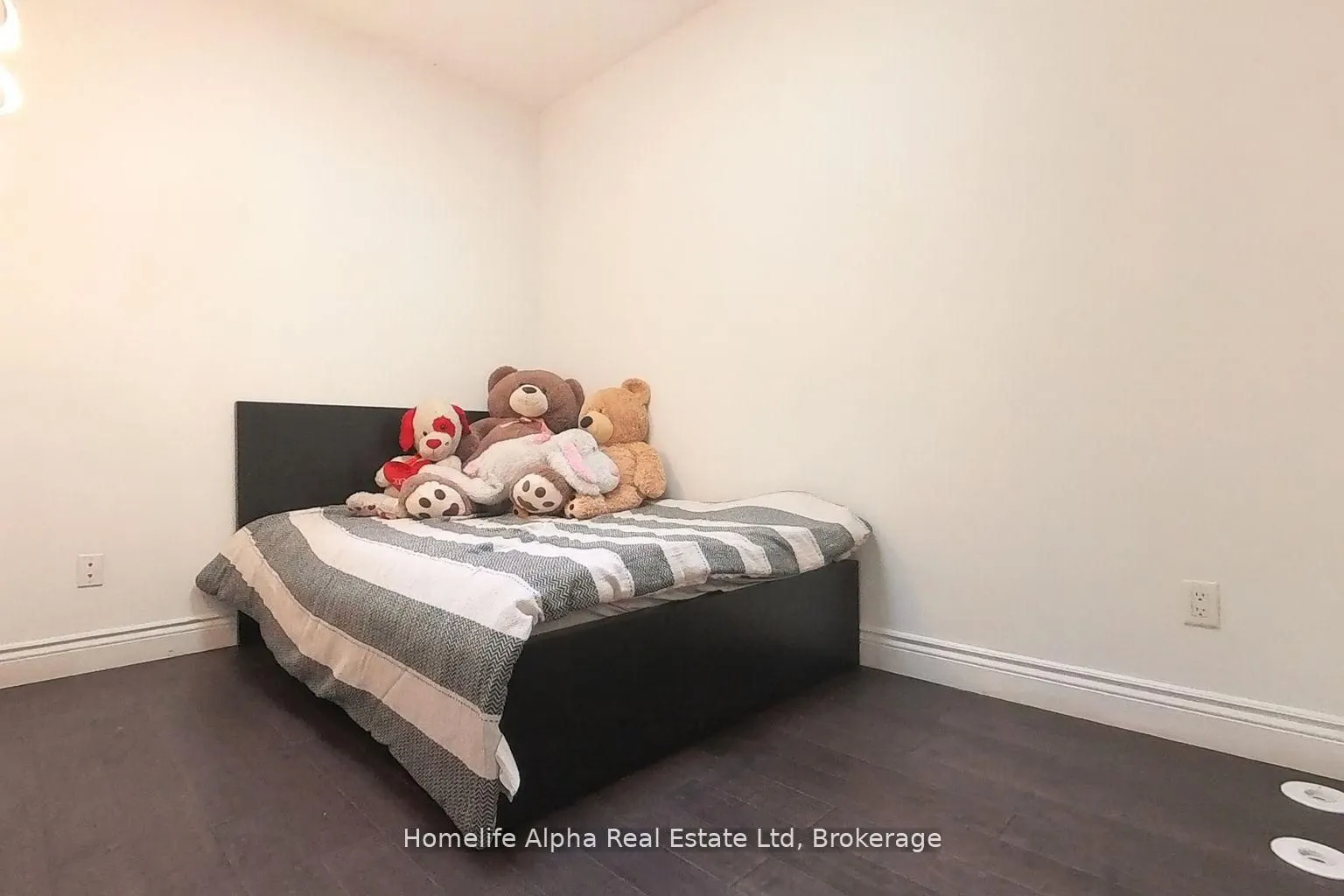 445 B Queen Street E