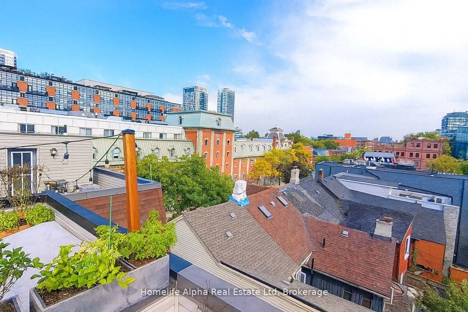 445 B Queen Street E