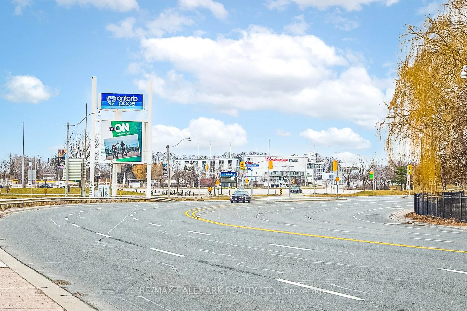 69 Lynn Williams Street, #709