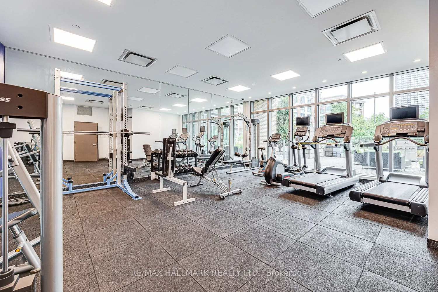 69 Lynn Williams Street, #709