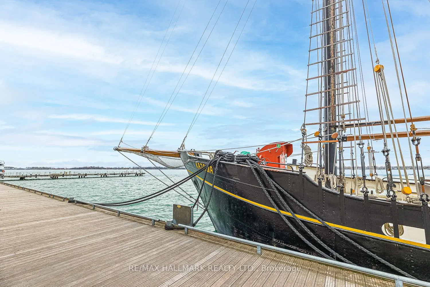 69 Lynn Williams Street, #709