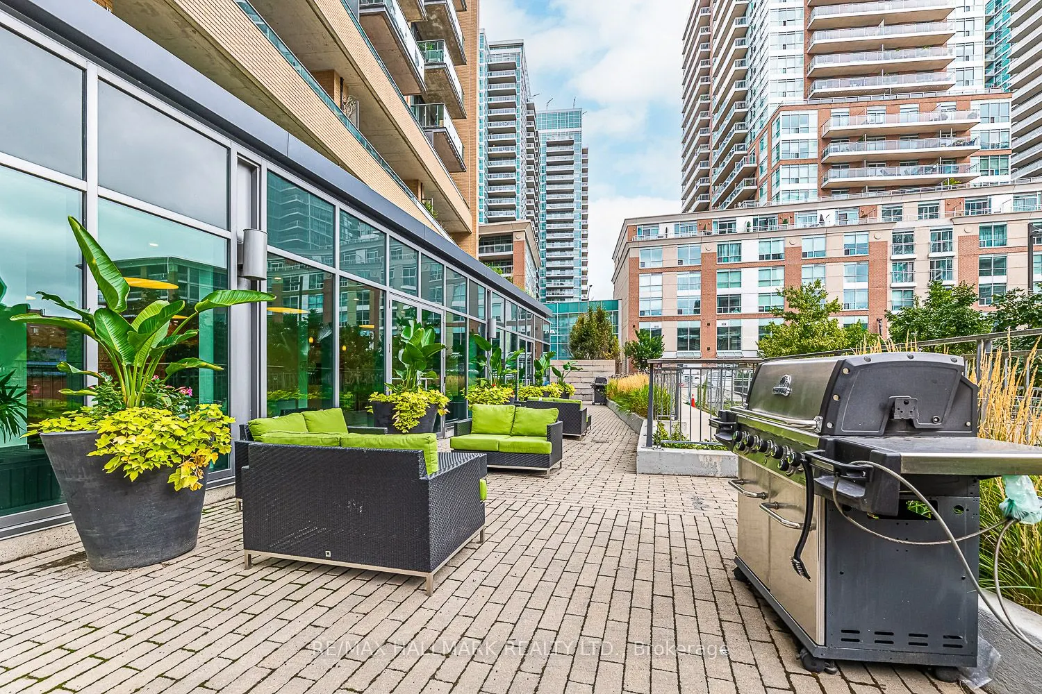 69 Lynn Williams Street, #709