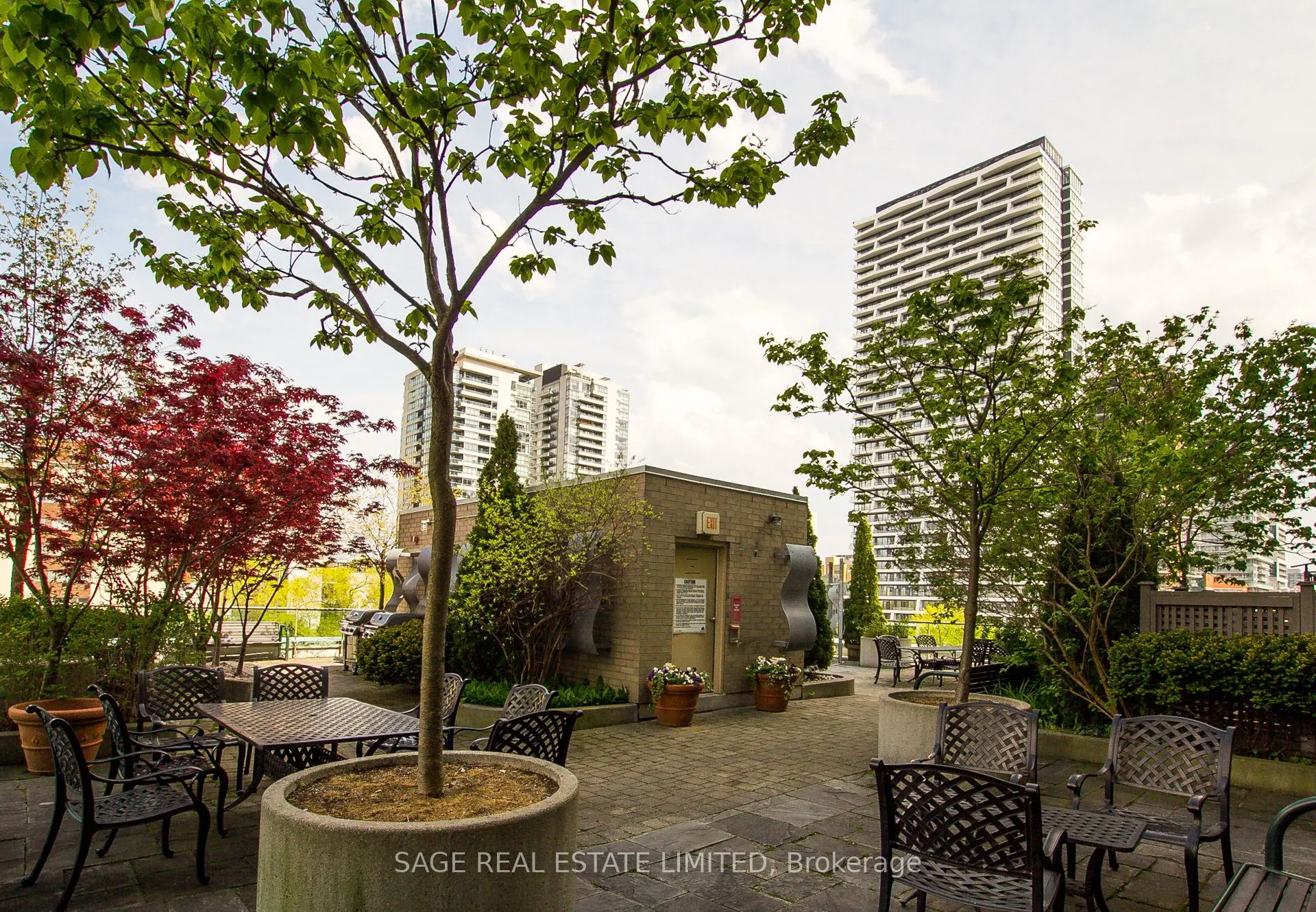 70 Alexander Street, #213