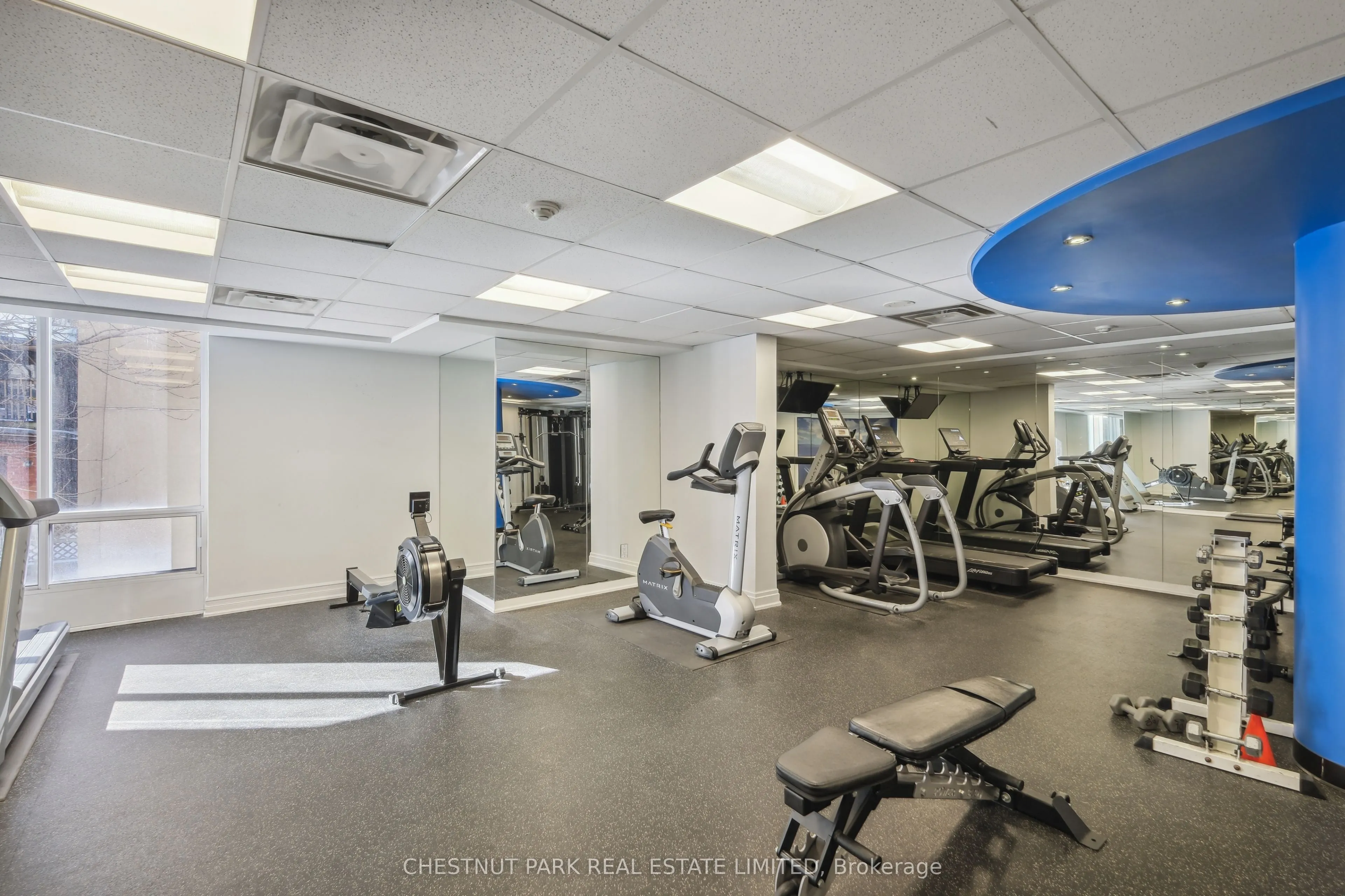 85 Bloor Street E, #1014