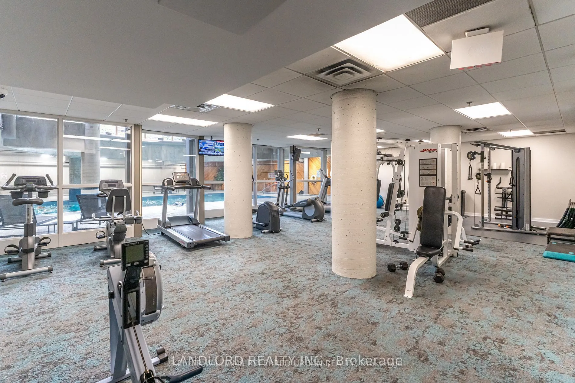 60 Homewood Avenue, #319