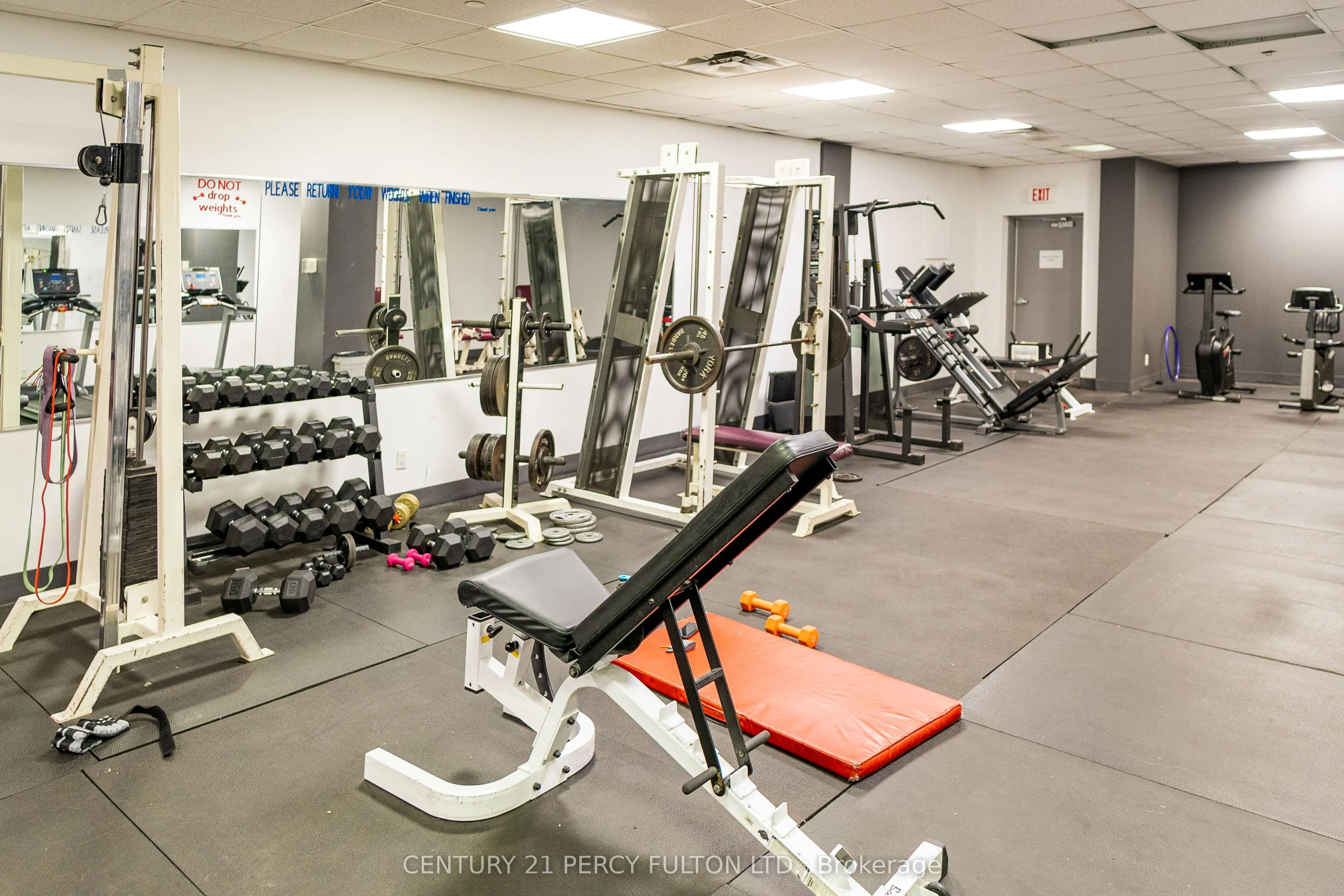 393 King Street W, #1204