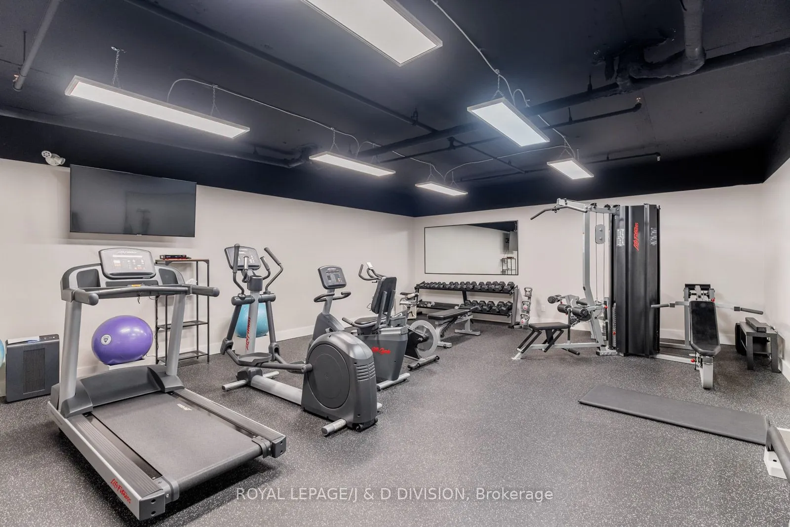 30 Glen Elm Avenue, #305