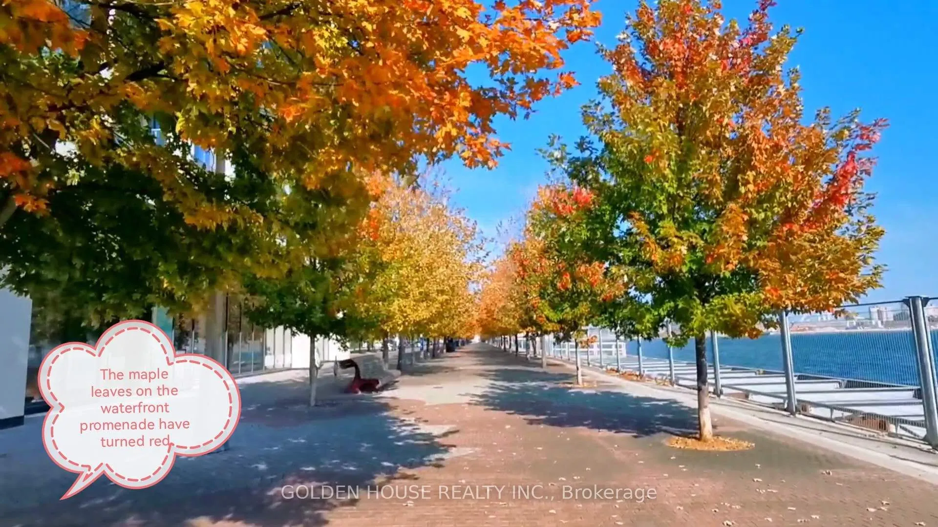 1 Edgewater Drive, #314