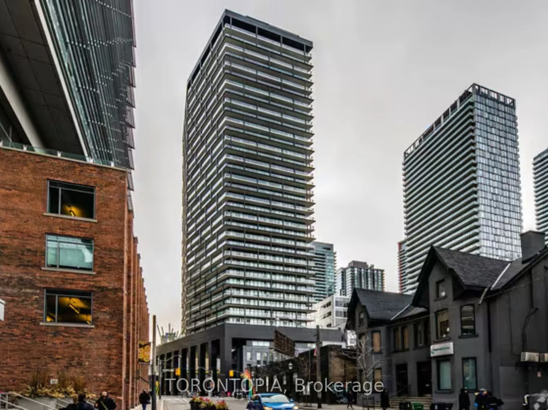 117 Peter Street, #310