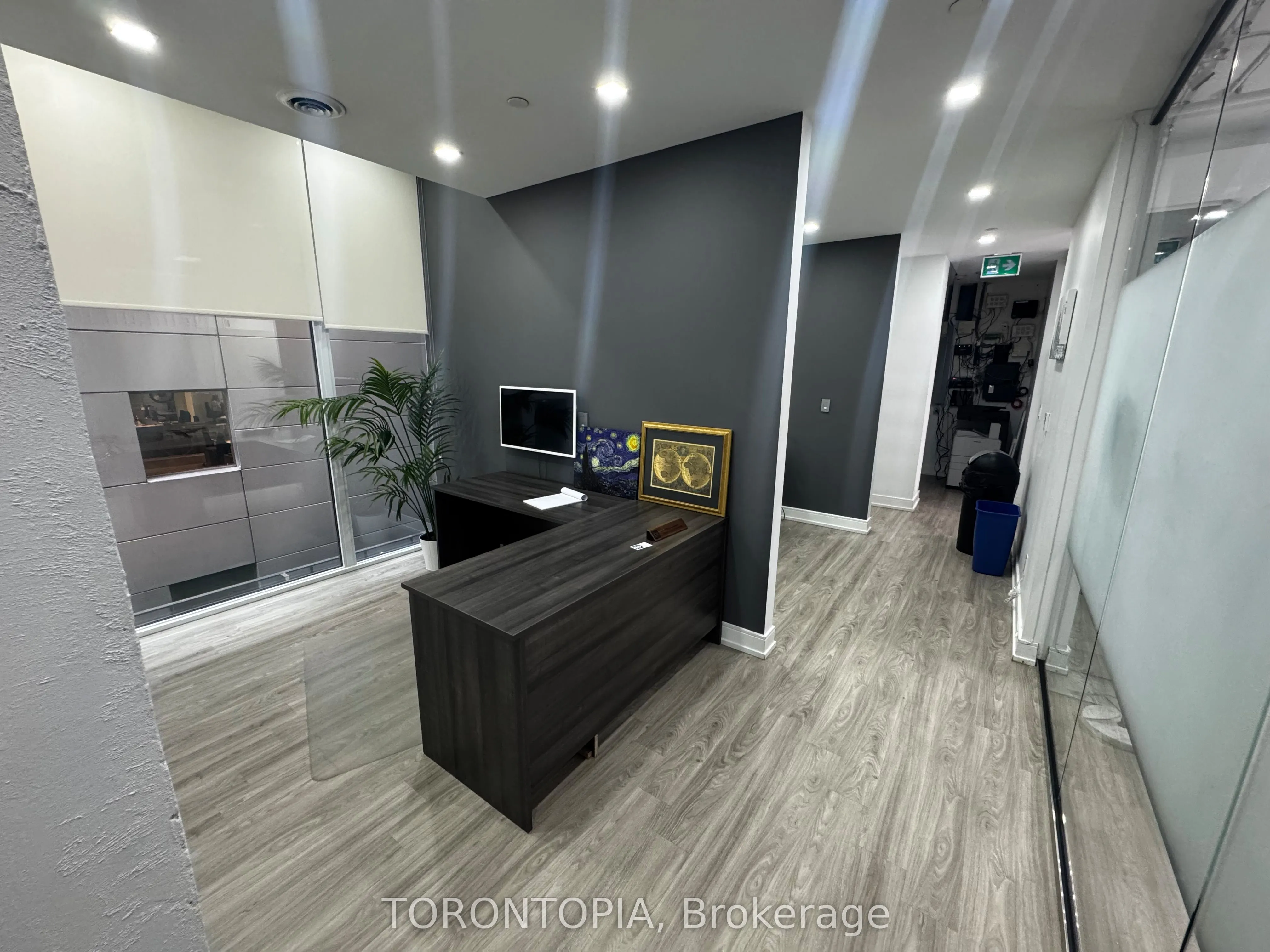 117 Peter Street, #310