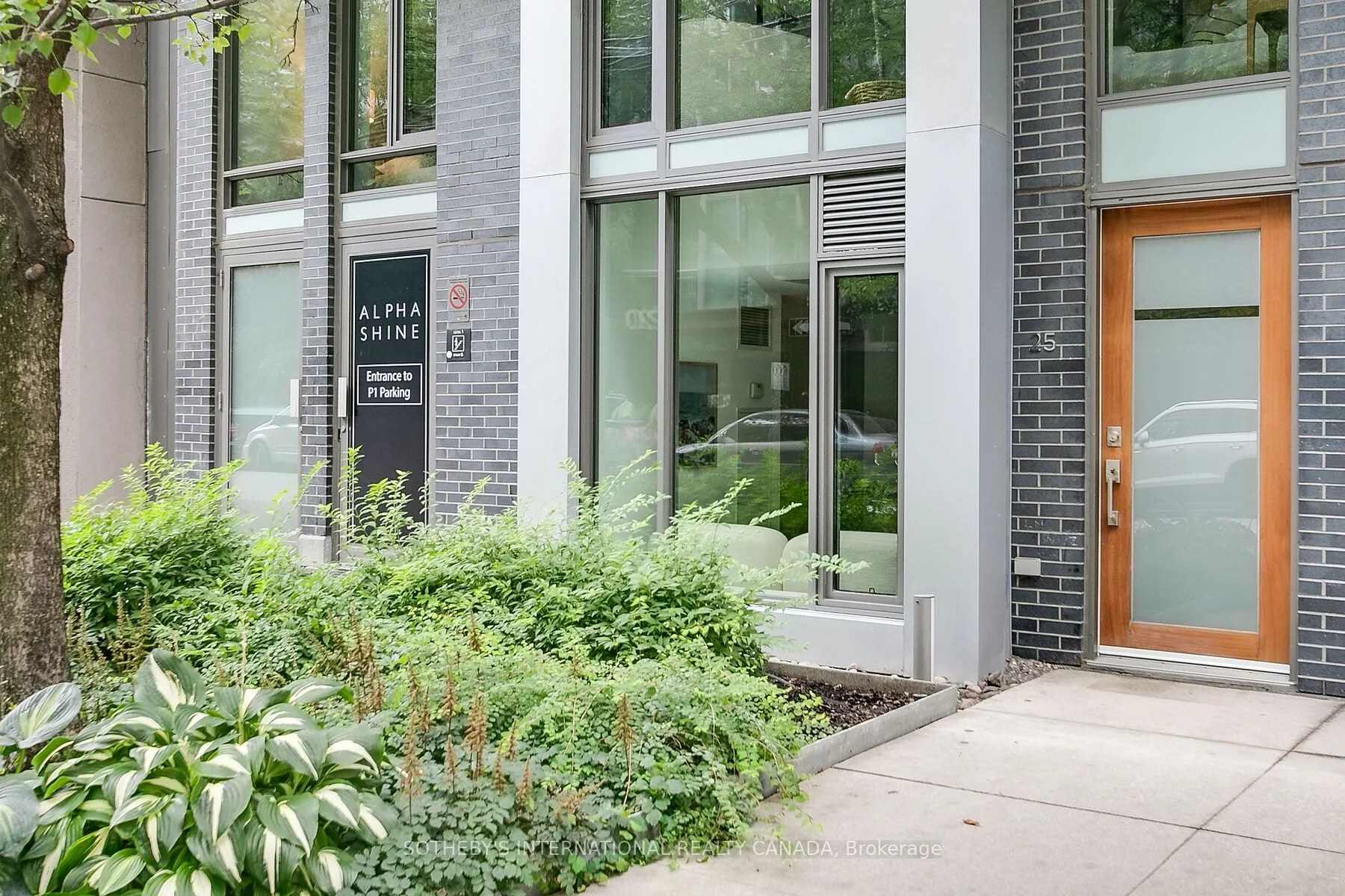 55 Stewart Street, #113