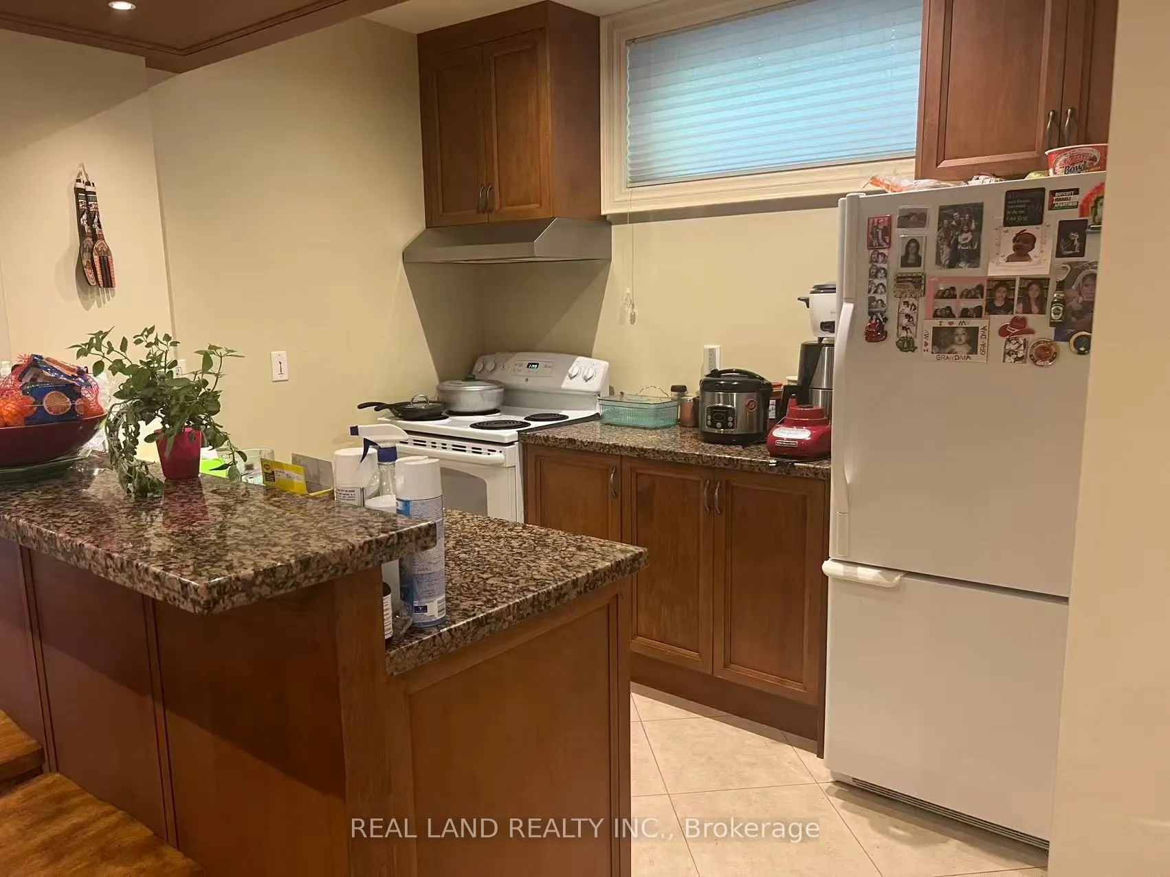 102 Hollywood Avenue, #Basement