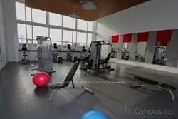 225 Sackville Street, #2205