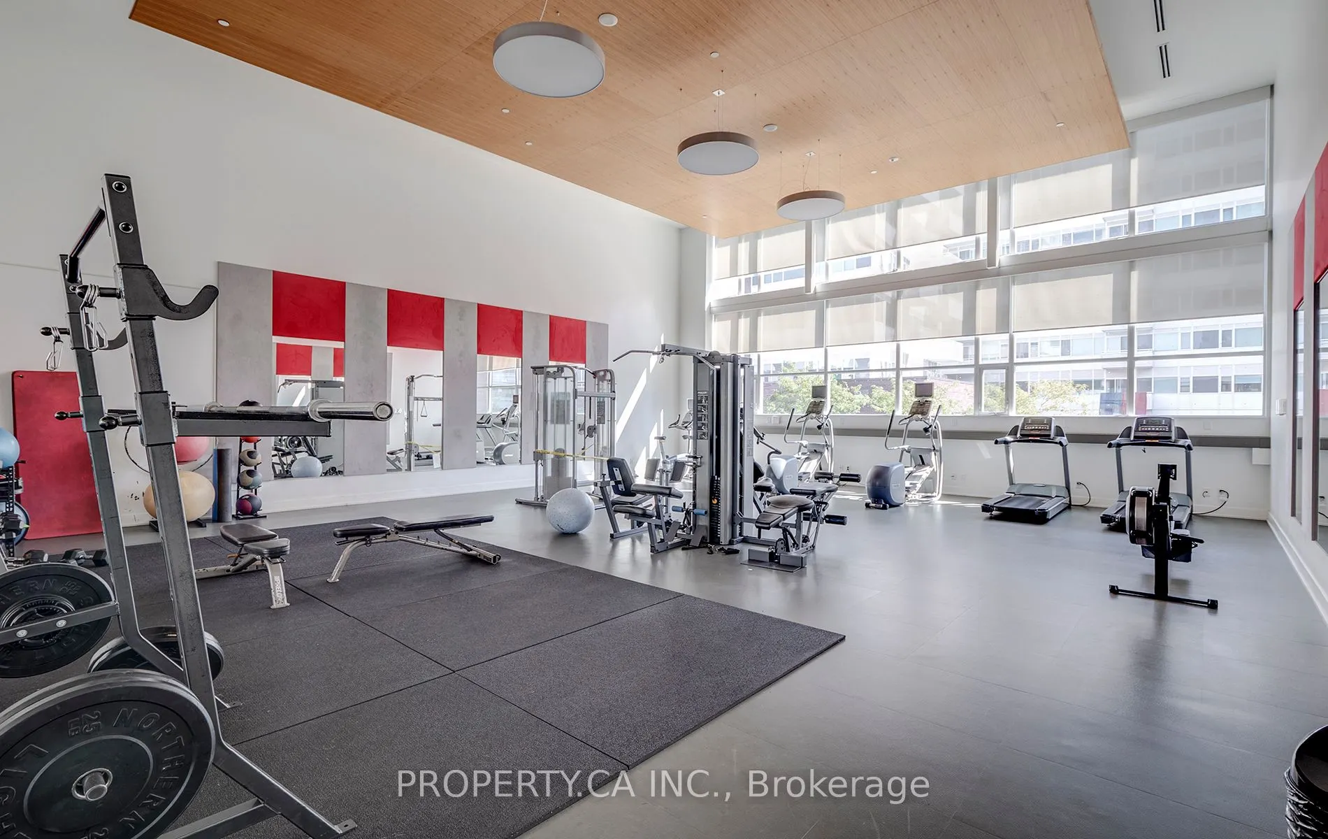 225 Sackville Street, #2306