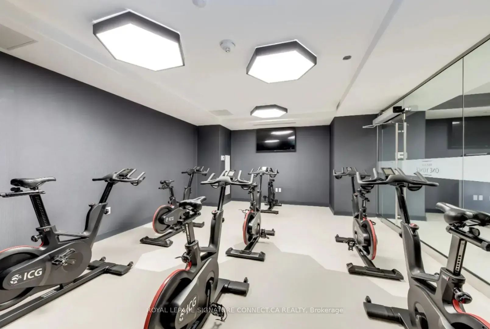 28 Freeland Street, #2006