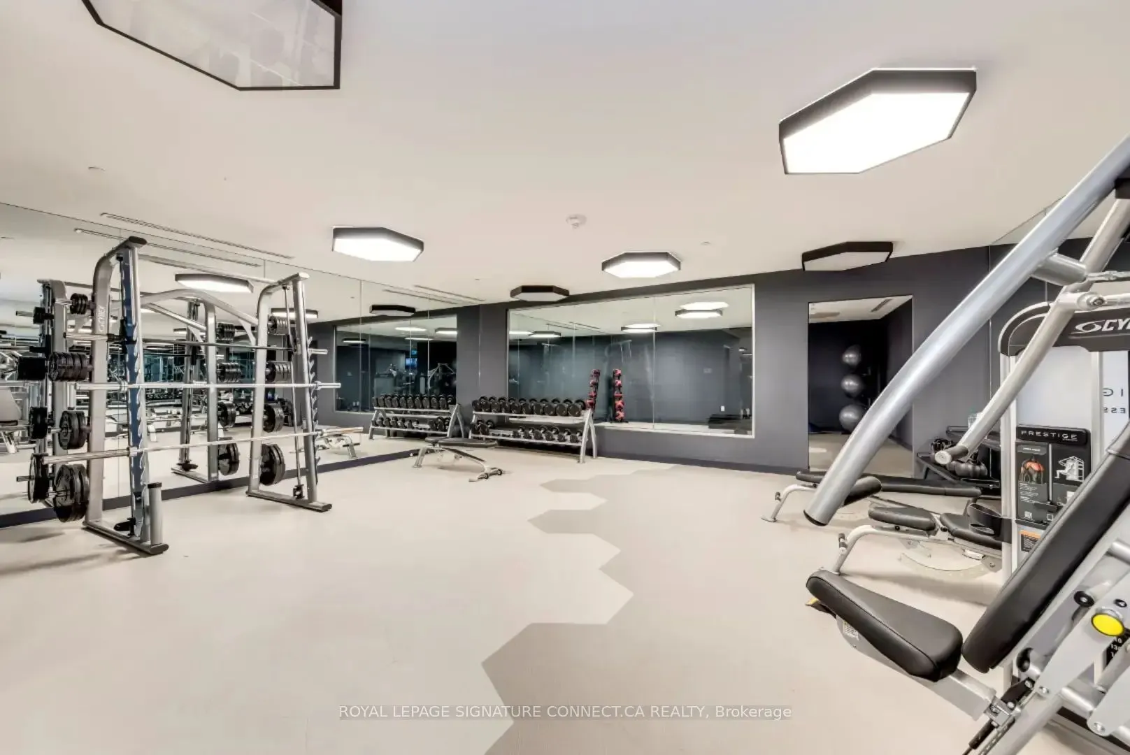 28 Freeland Street, #2006