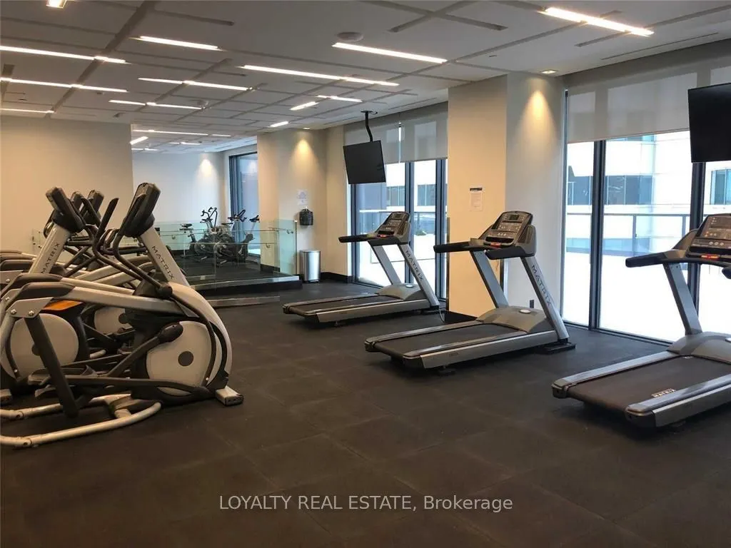 87 Peter Street, #1006