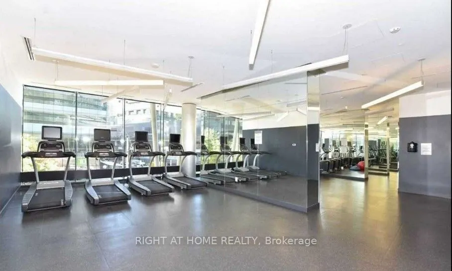 14 York Street #3502