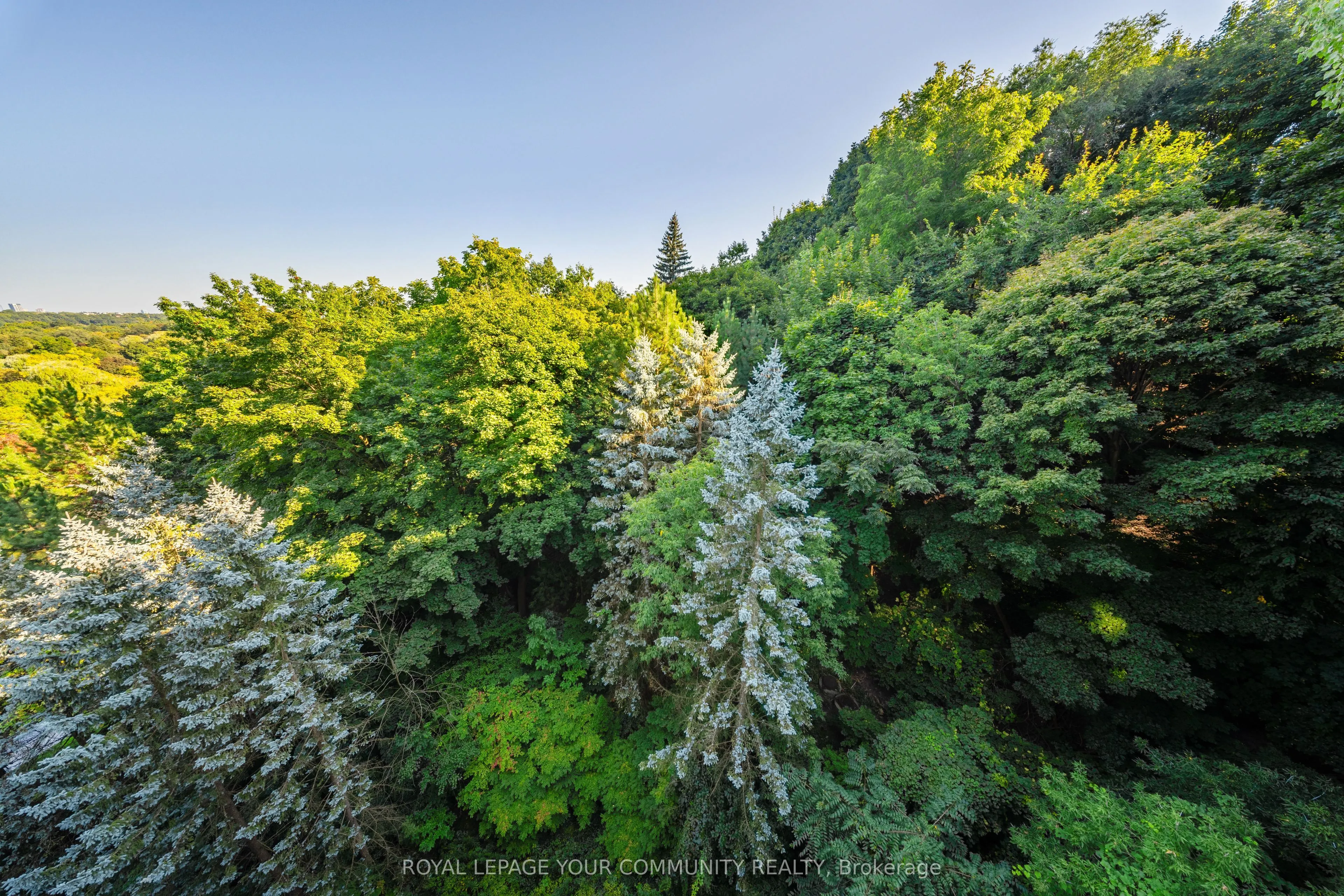 3900 Yonge Street #408