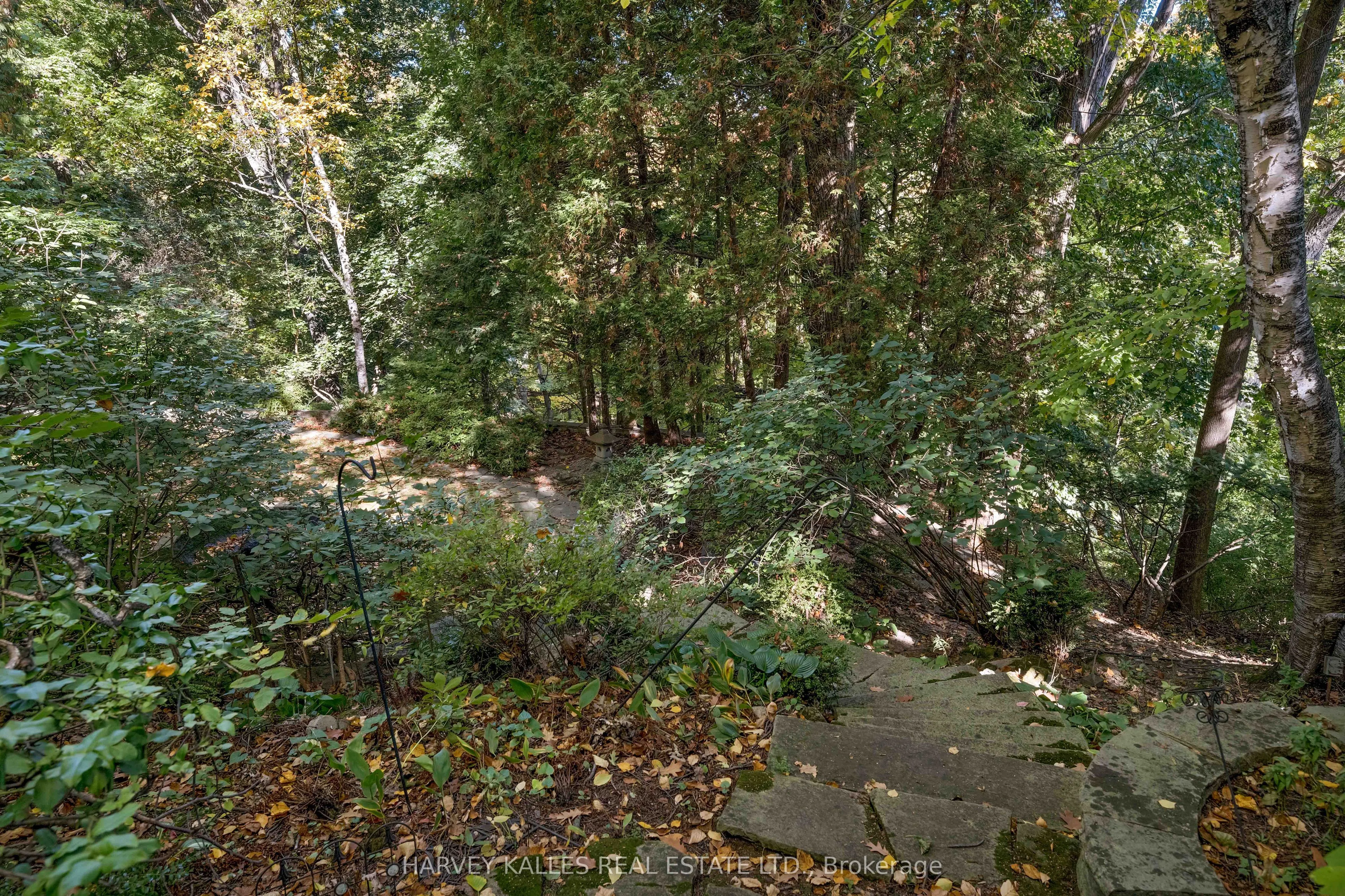 7 Beaumont Road