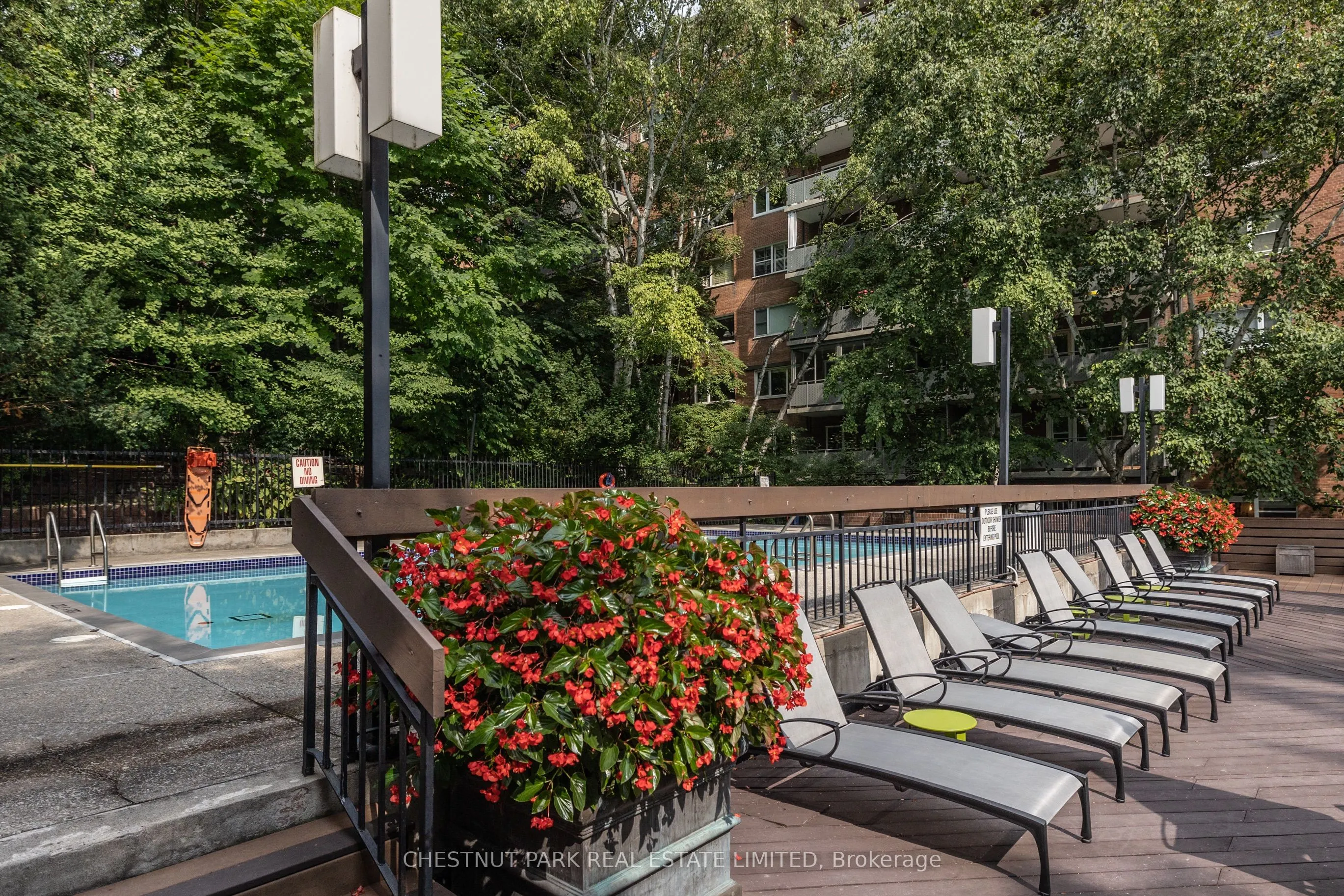 21 Dale Avenue #502