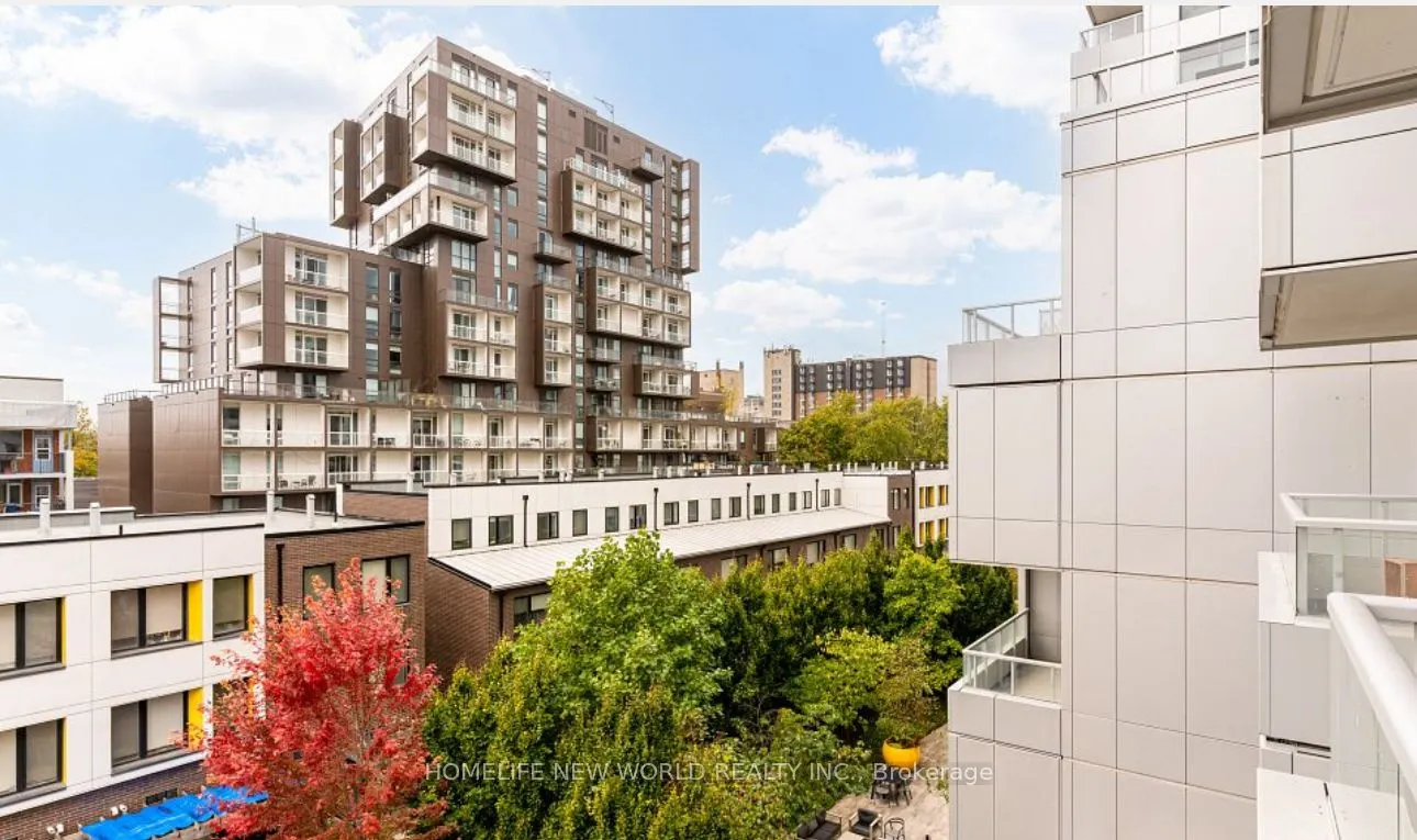 38 Cameron Street #423