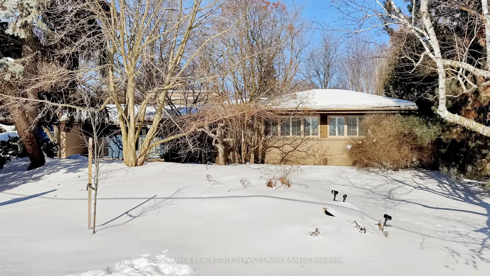 62 Wimpole Drive