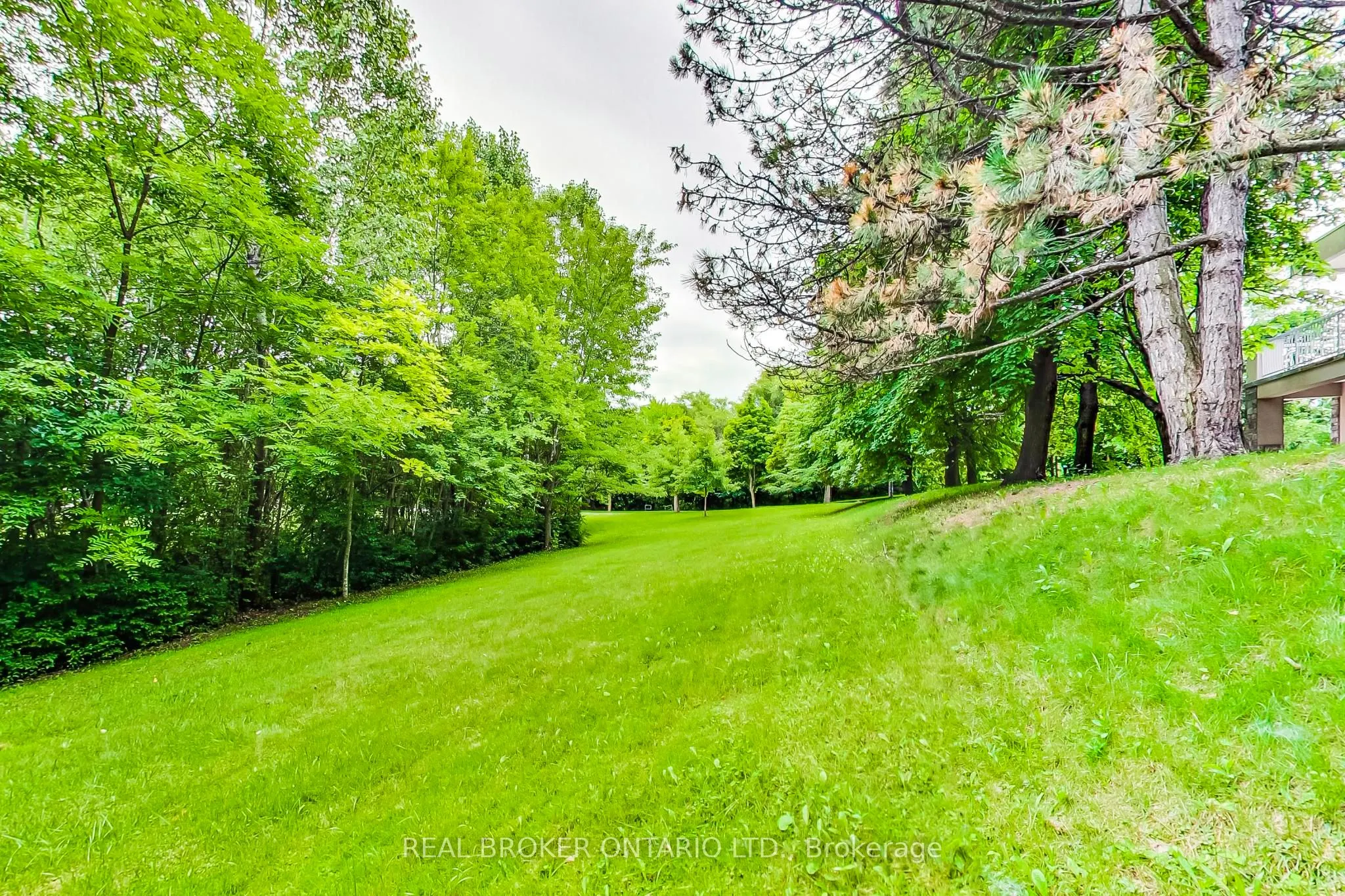 48 Silvergrove Road