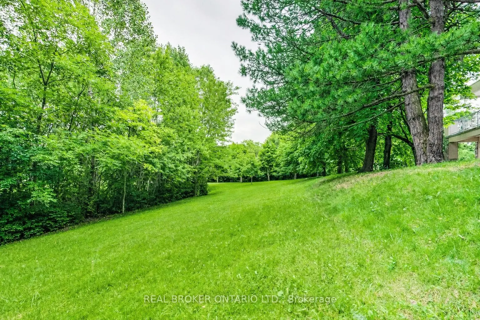 48 Silvergrove Road