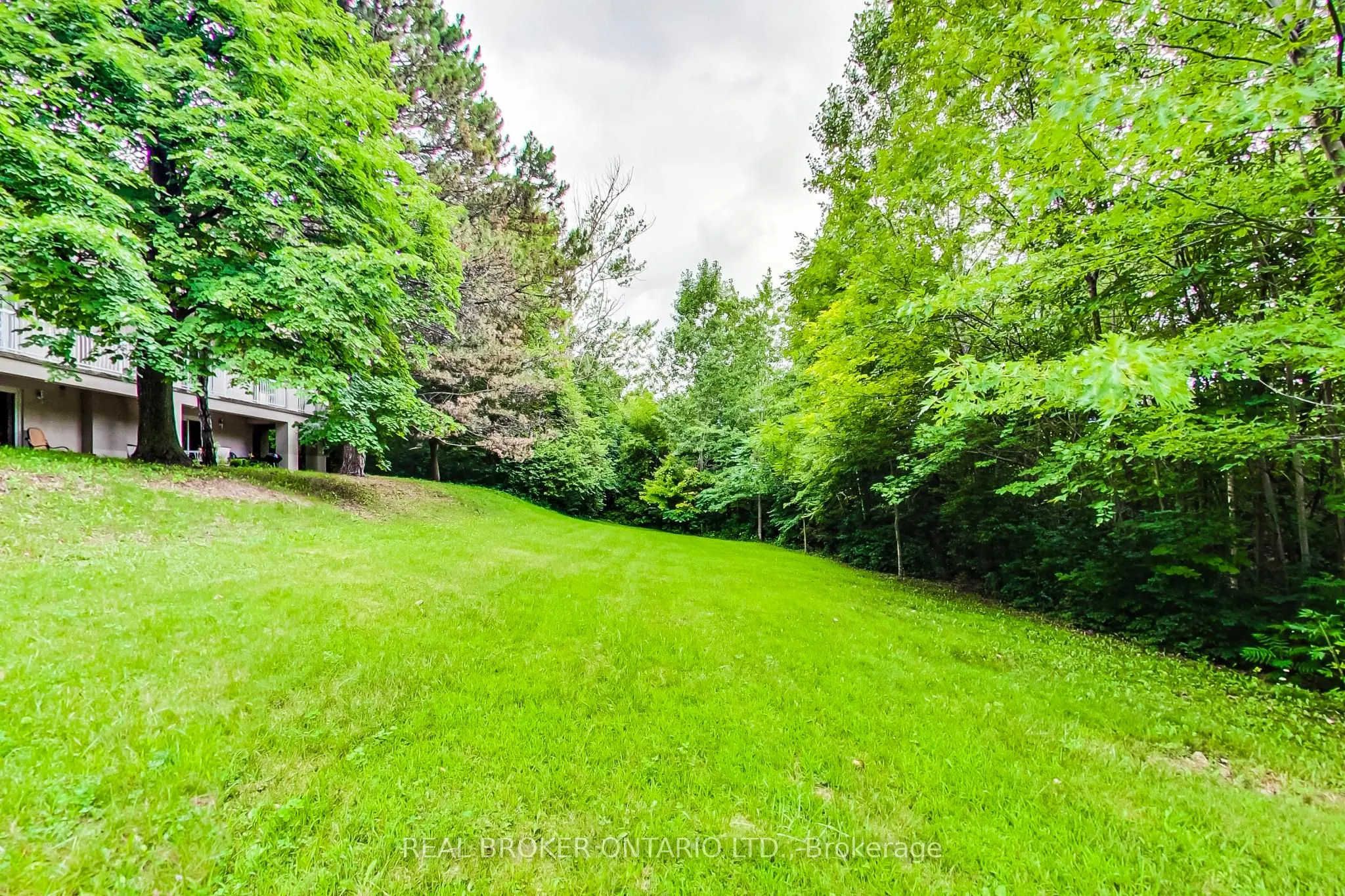 48 Silvergrove Road
