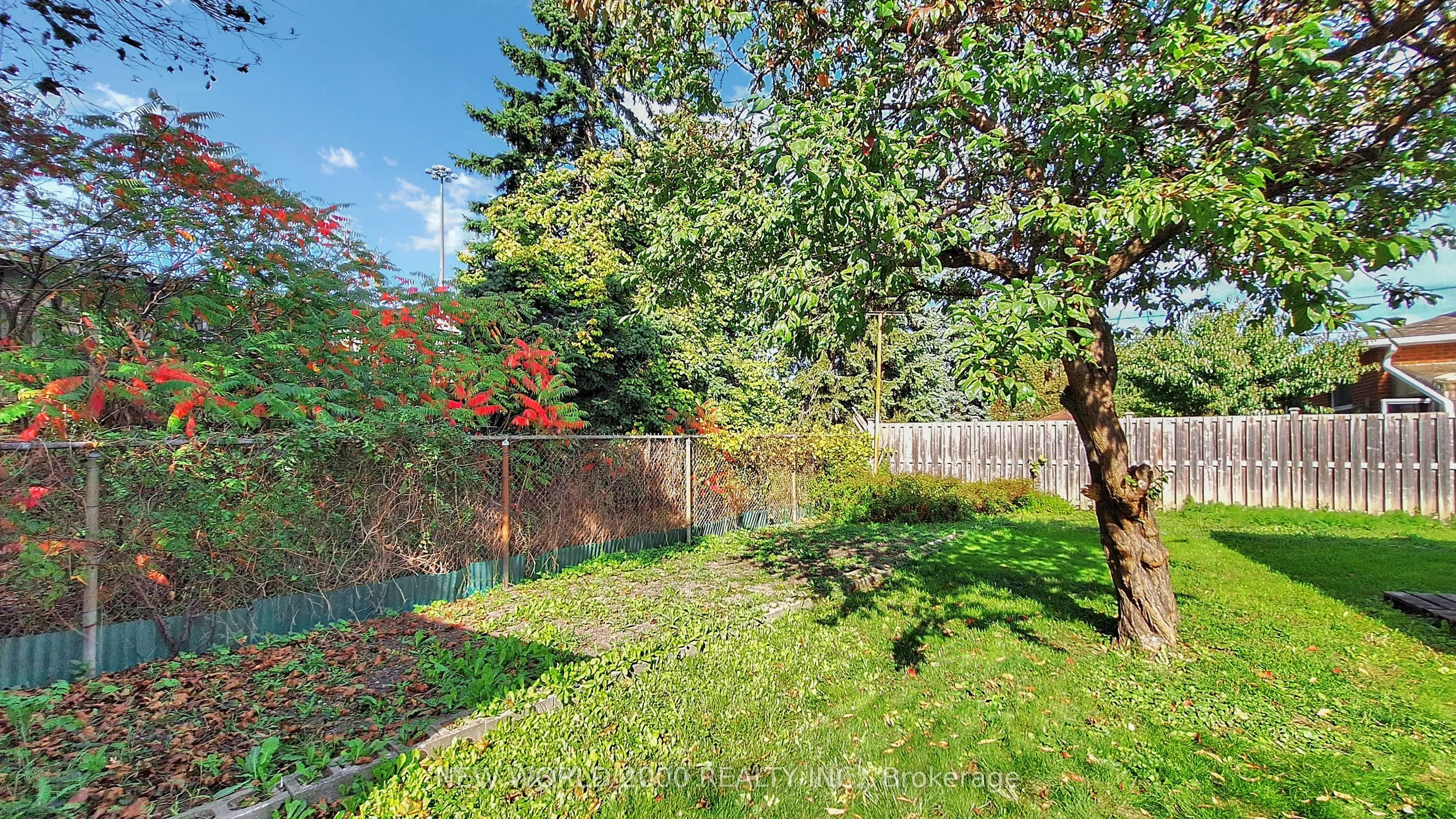17 Squirewood Road