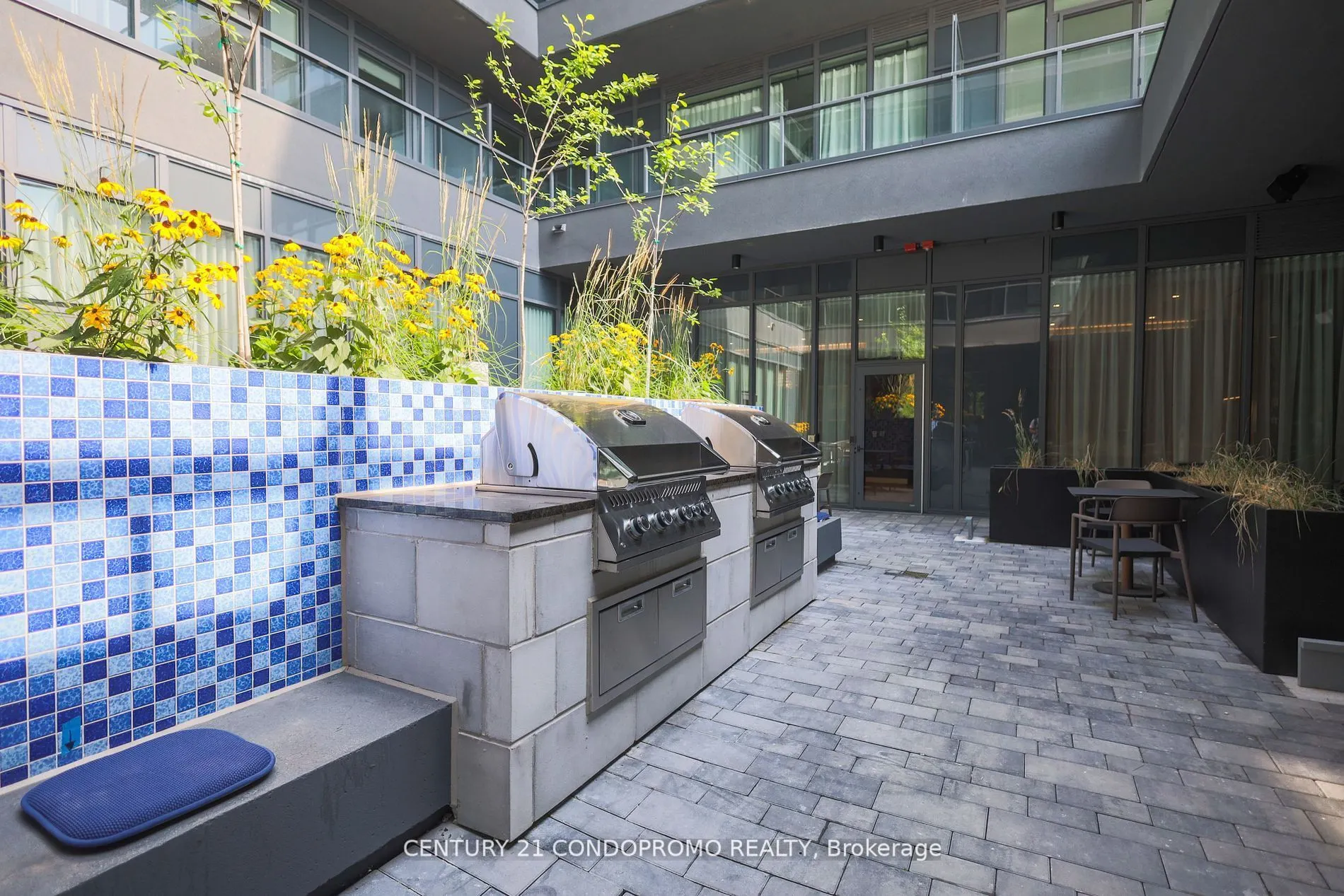 500 Dupont Street #515