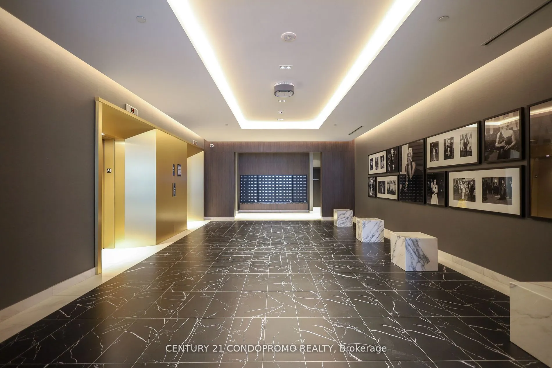 500 Dupont Street #515