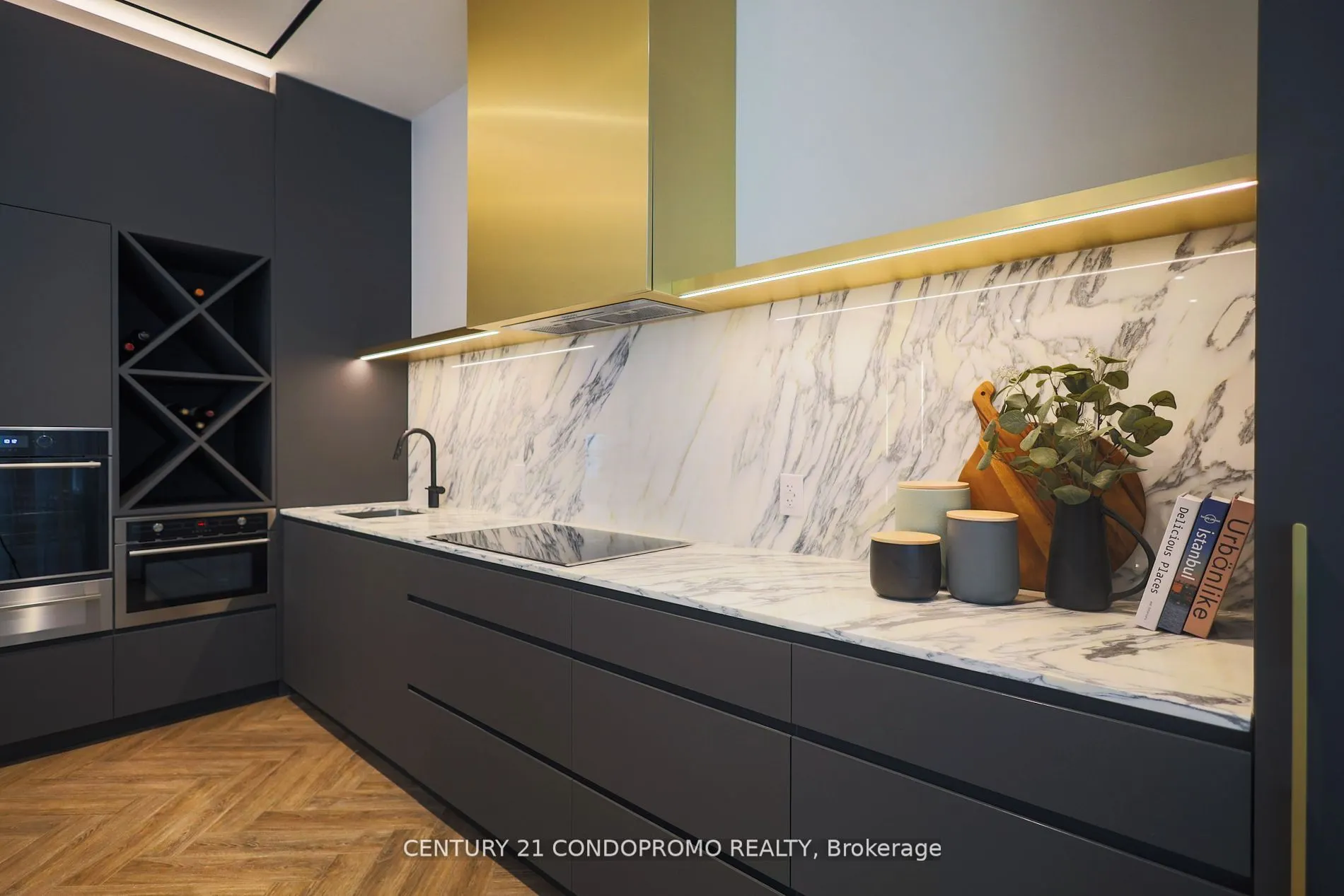 500 Dupont Street #515