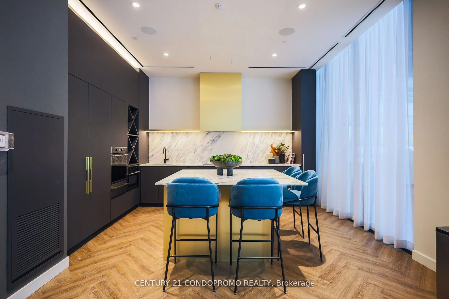 500 Dupont Street #515