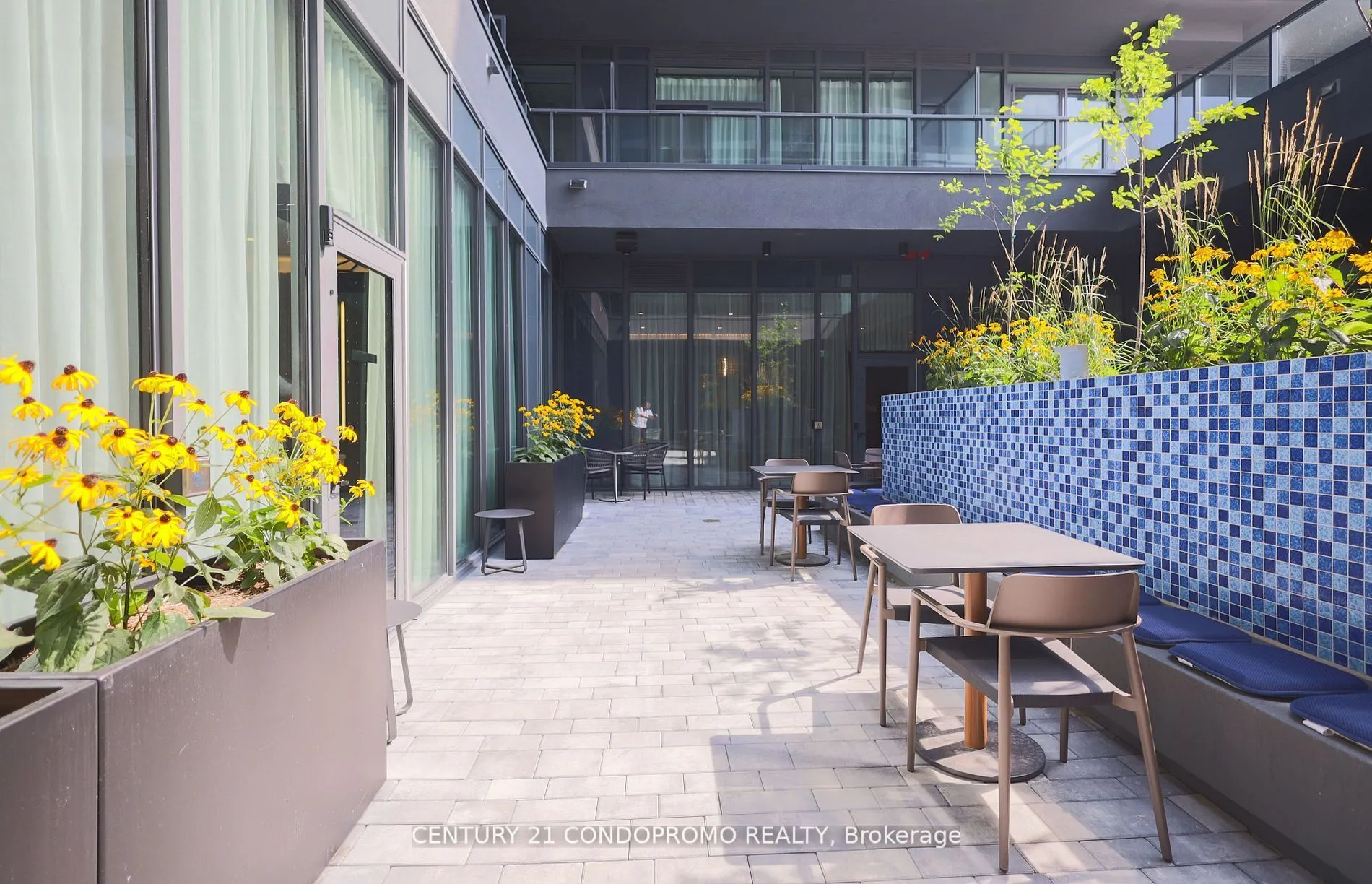 500 Dupont Street #515