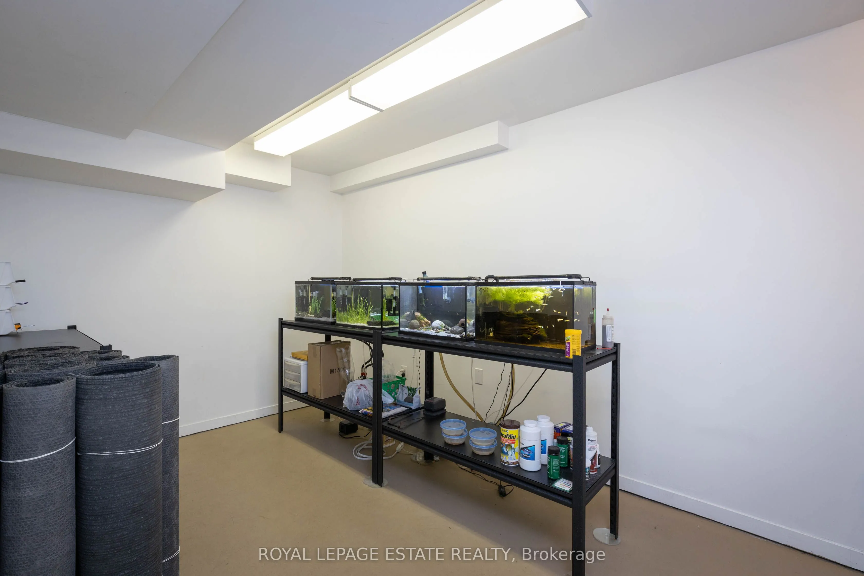 432 Queen Street E