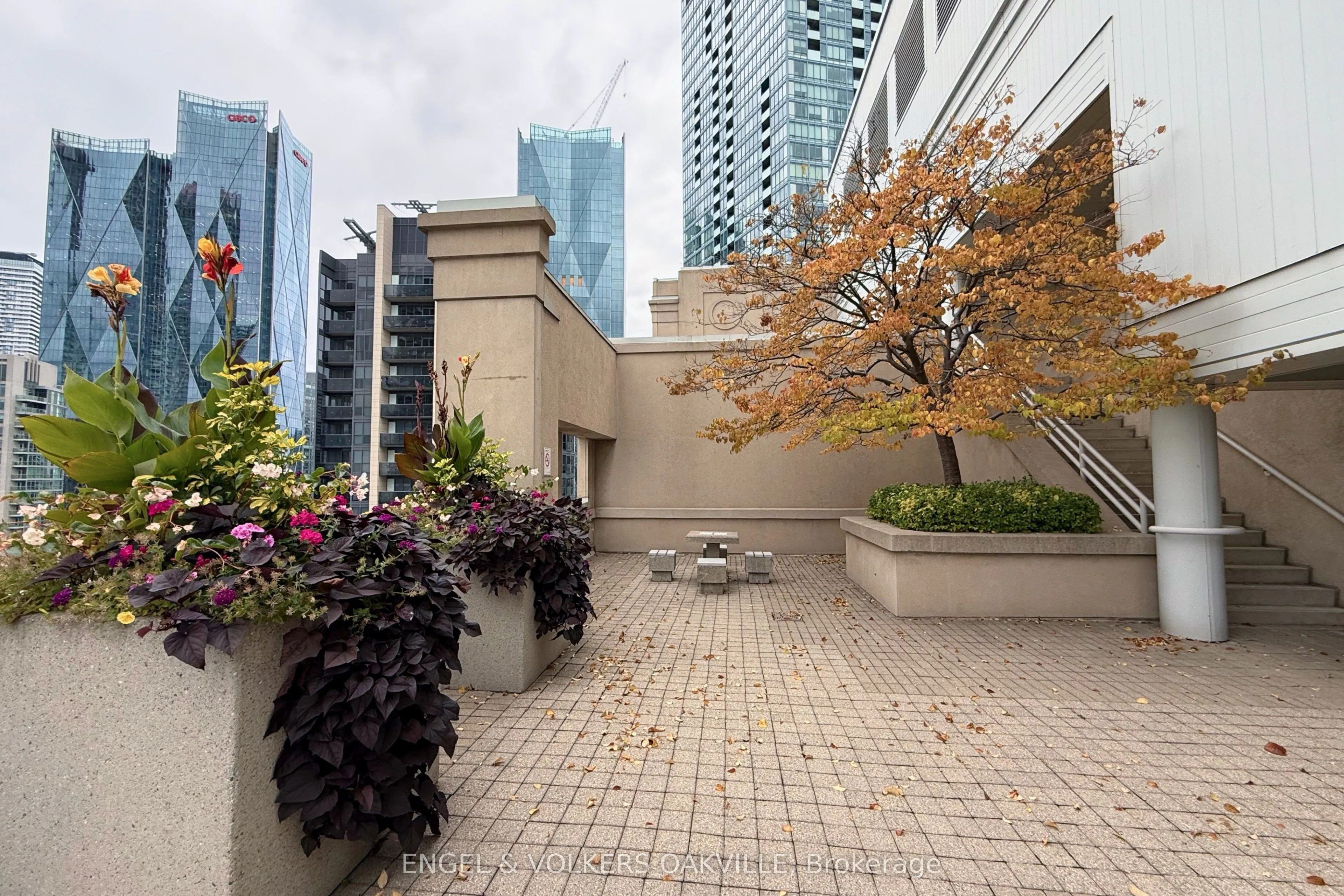 25 The Esplanade #1811