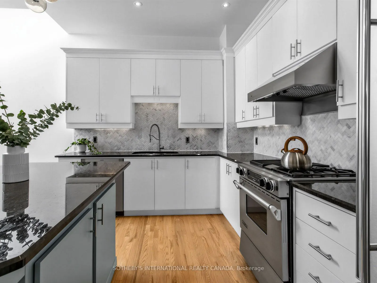 62 Claremont Street #6