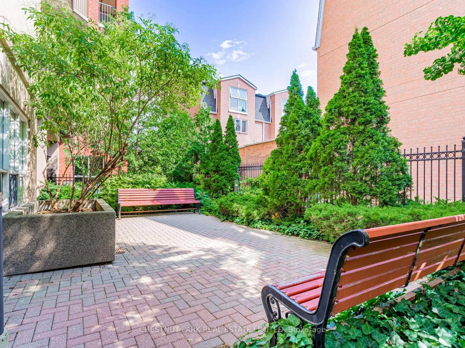 139 Merton Street #246