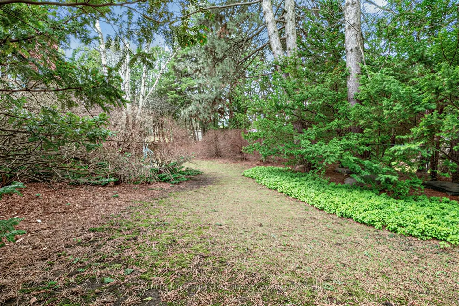 16 Royal Oak Drive