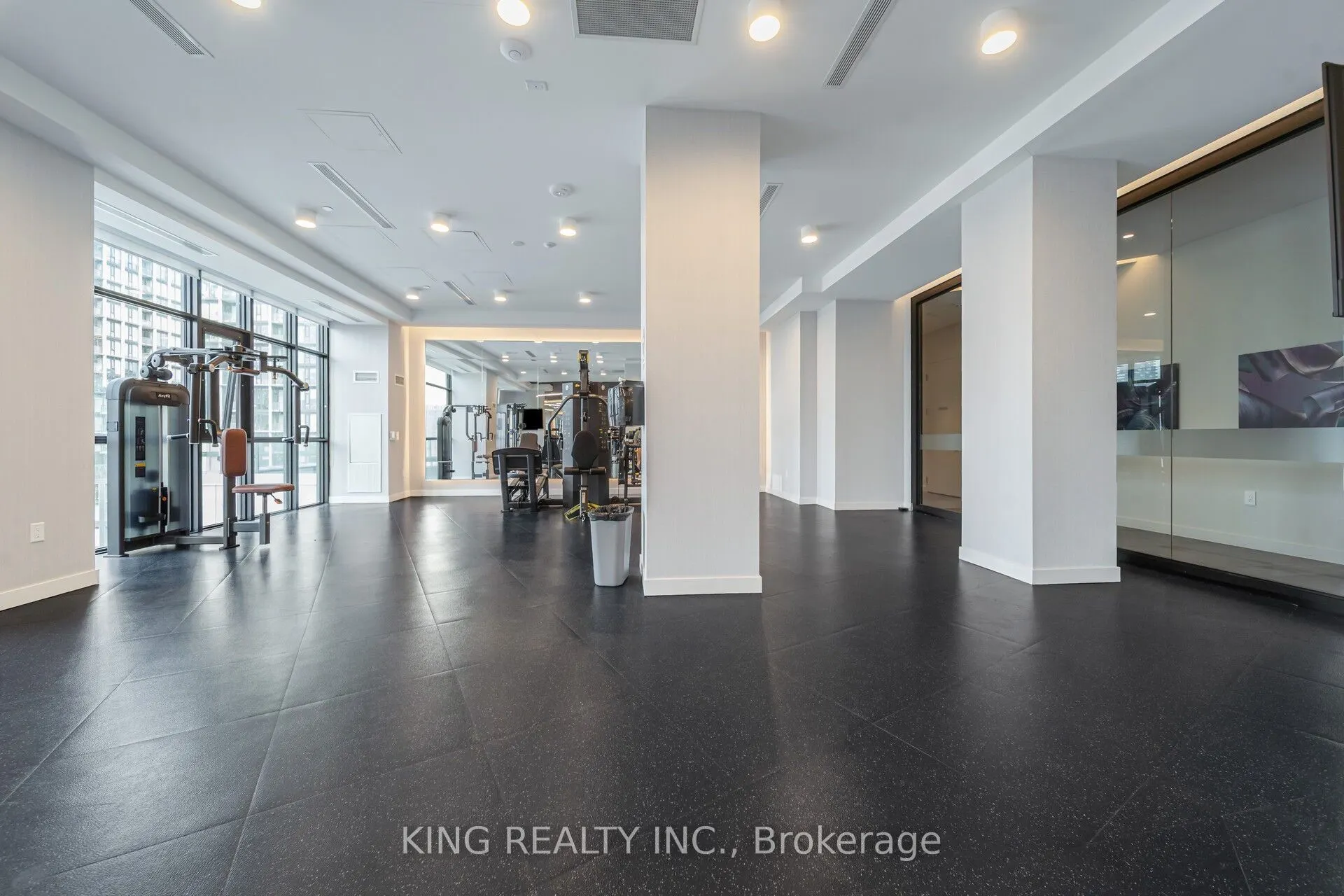 121 Lower Sherbourne Street S #233