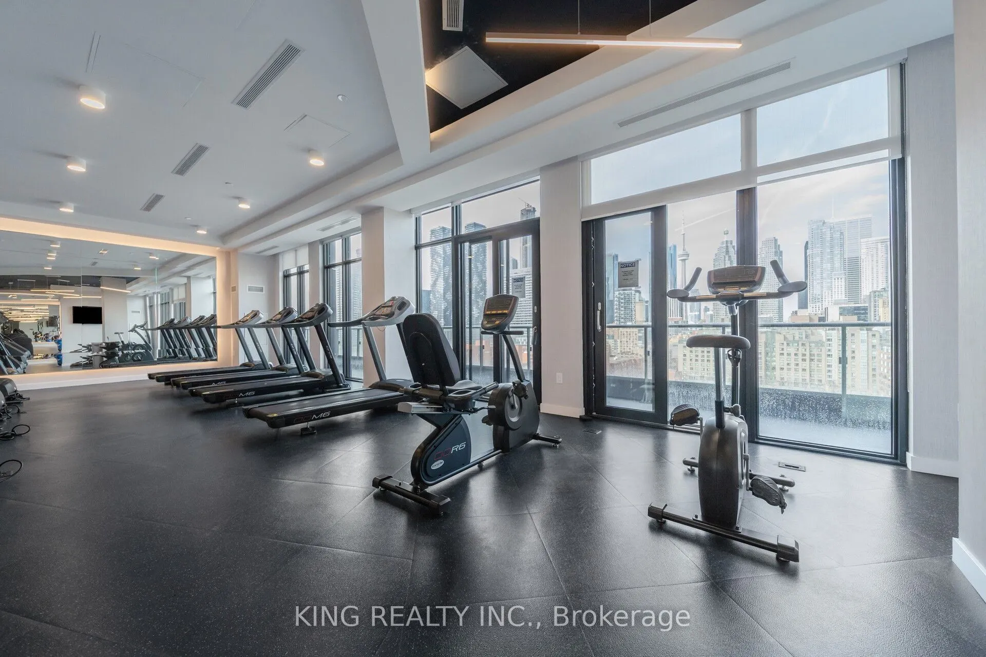 121 Lower Sherbourne Street S #233