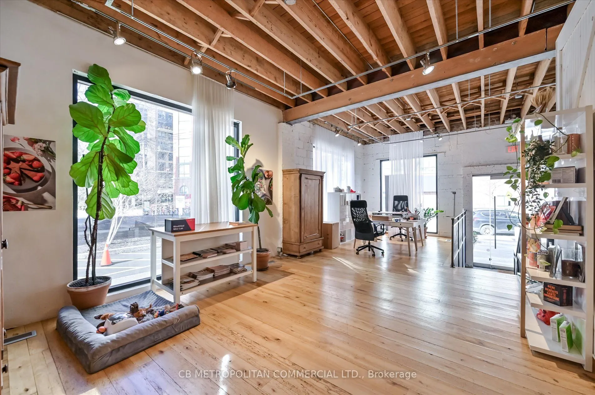 201 Niagara Street