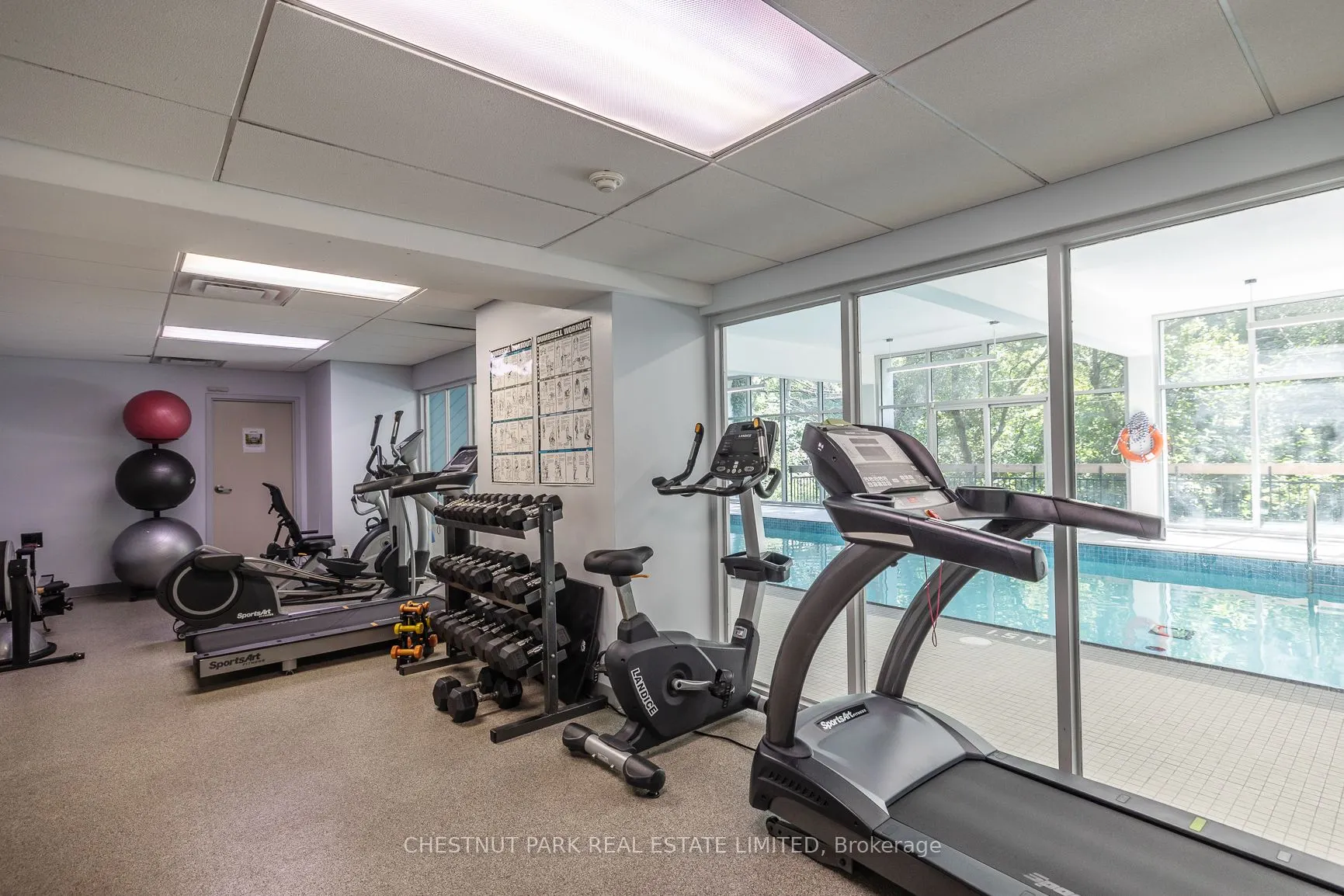 21 Dale Avenue #502