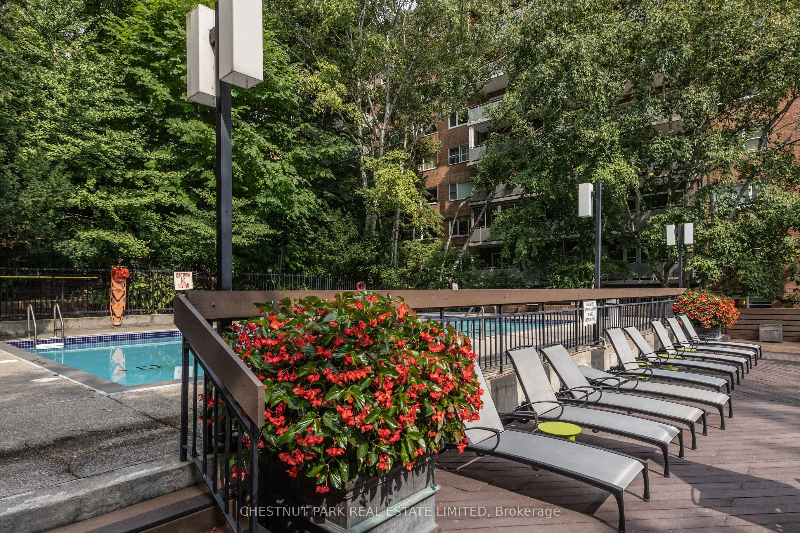 21 Dale Avenue #502