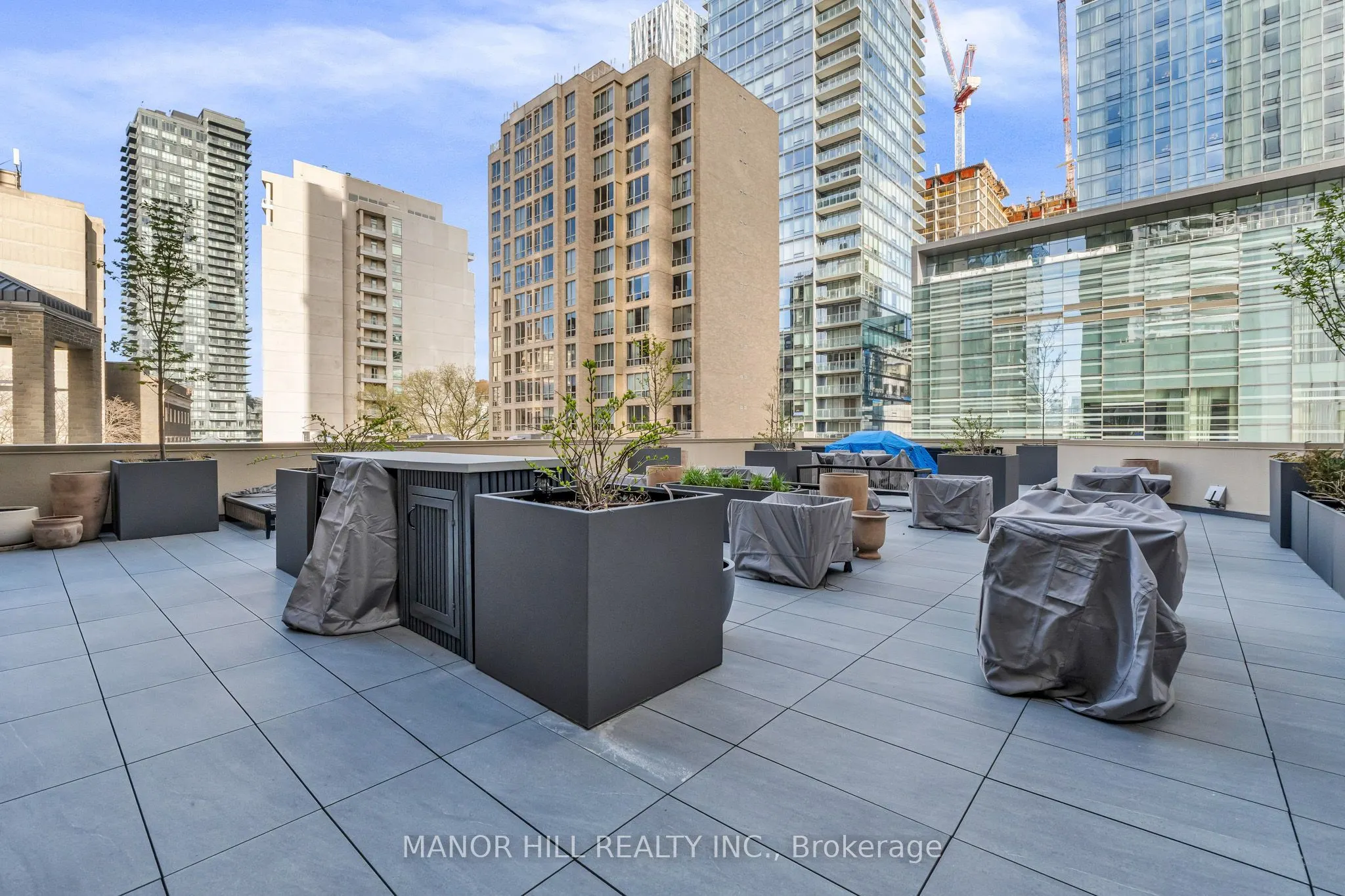 1331 Bay Street #803
