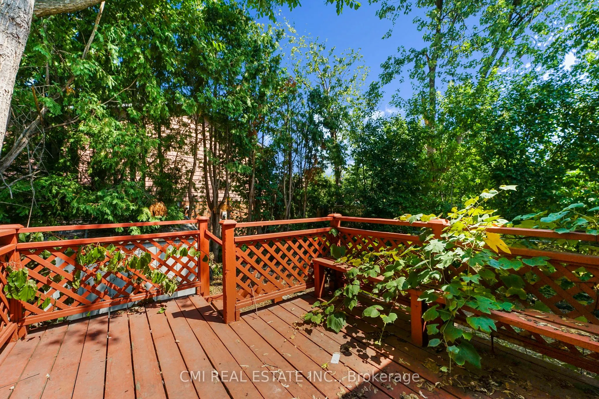 50 Apache Trail