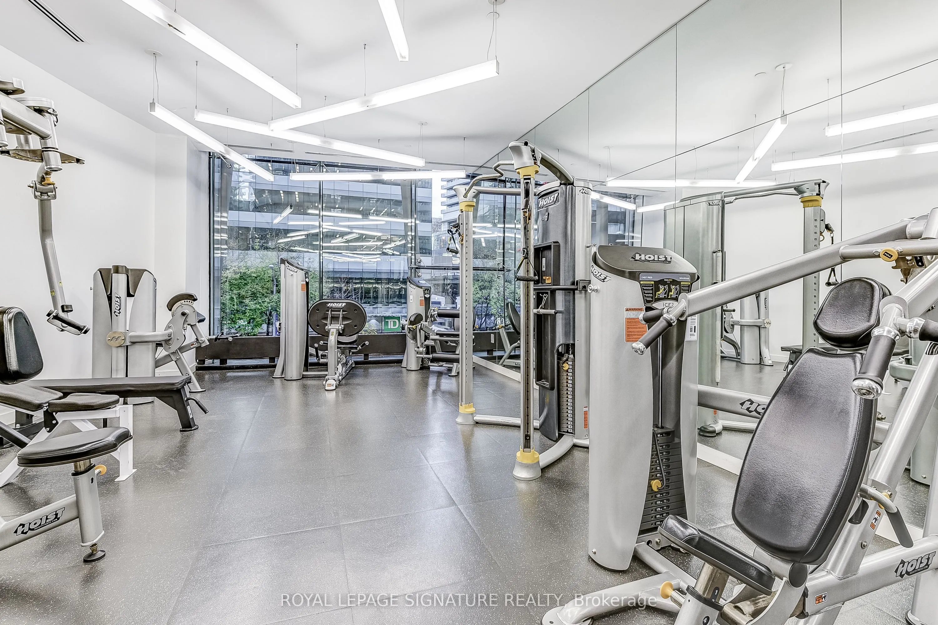 14 York Street #2804