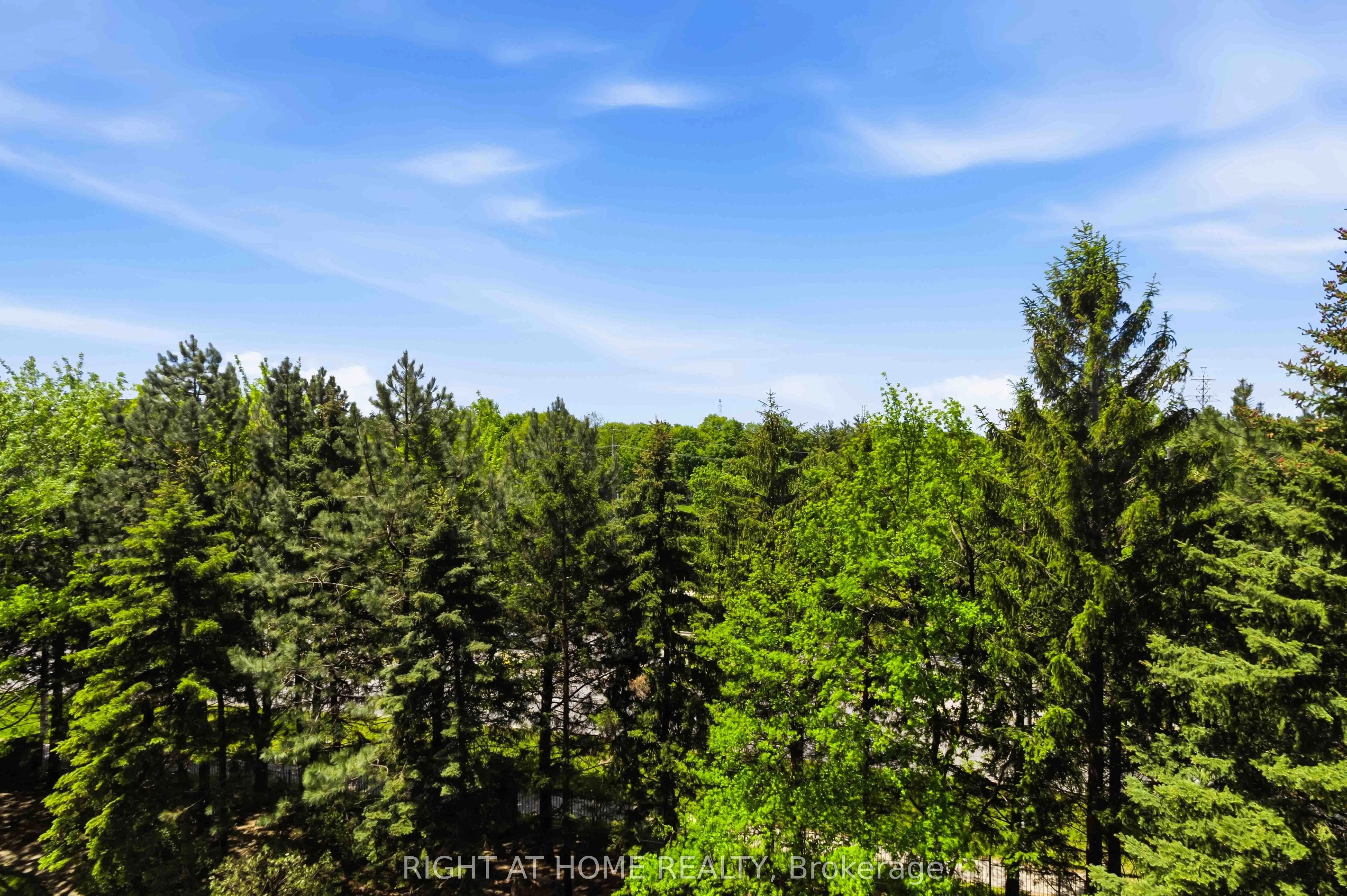 89 Skymark Drive #609